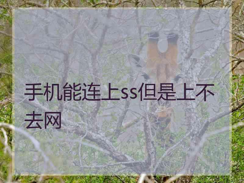 手机能连上ss但是上不去网 手机能连上ss但是上不去网